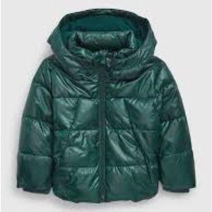 Puffer Jacket Toddler The Gap size 5T